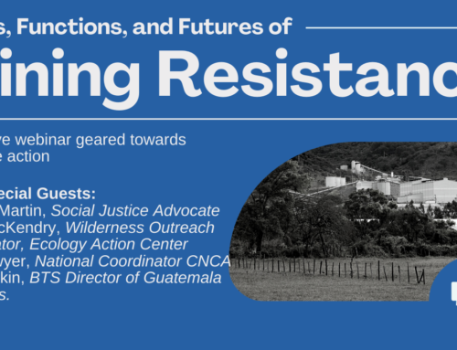 Mining Resistance: Forms, Functions and Futures